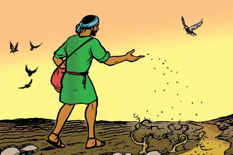 CHÚA NHẬT 15 THƯỜNG NIÊN - NĂM A